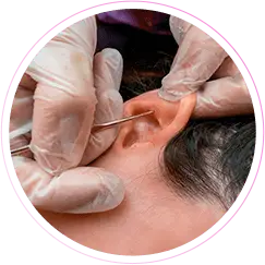 mod massoterapia 07